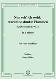 Mahler-Nun seh' ich wohl,warum so dunkle Flammen(Kindertotenlieder Nr. 2)