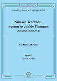 Mahler-Nun seh' ich wohl,warum so dunkle Flammen(Kindertotenlieder Nr. 2)