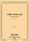 Puccini-Addio,fiorito asil,in D flat Major,from 'Madama Butterfly,SC 74'