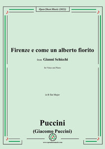 Puccini-Firenze e come un alberto fiorito,in B flat Major,from Gianni Schicchi