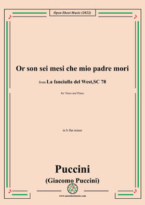 Puccini-Or son sei mesi che mio padre mori,in b flat minor