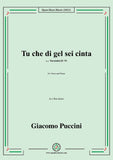 Puccini-Tu che di gel sei cintain,e flat minor