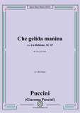Puccini-Che gelida manina,in A flat Major,from 'La Bohème,SC 67'