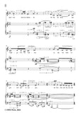 Schoenberg-Du lehnest wider eine Silberweide,in a minor,Op.15 No.13