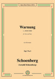 Schoenberg-Warnung,in b flat minor
