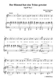 Schumann-Der Himmel hat eine träne geweint