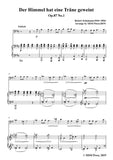Schumann-Der Himmel hat eine träne geweint