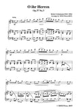 Schumann-O ihr Herren