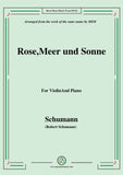Schumann-Rose,Meer und Sonne