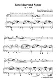Schumann-Rose,Meer und Sonne