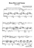 Schumann-Rose,Meer und Sonne