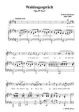 Schumann-Waldcsgespräch