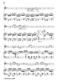 Schumann-Der Kontrabandiste,for Cello and Piano