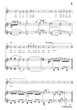 Schumann-Der Sandmann,in g minor,Op.79,No.13