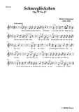 Schumann-Schneeglöckchen,Op.79,No.27