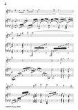 Schumann-Dem Helden,for Flute and Piano