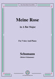 Schumann-Meine Rose