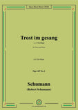Schumann-Trost im gesang,in E flat Major,Op.142 No.1