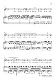 Schumann-Lust der Sturmnacht,Op.35 No.1