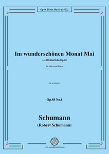 Schumann-Im wunderschonen Monat Mai,Op.48 No.1