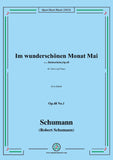 Schumann-Im wunderschonen Monat Mai,Op.48 No.1