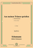 Schumann-Aus meinen Tranen sprießen,Op.48 No.2