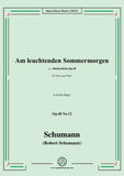 Schumann-Am leuchtenden Sommermorgen,Op.48 No.12