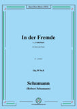 Schumann-In der Fremde,Op.39 No.8