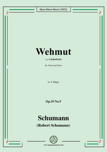 Schumann-Wehmut,Op.39 No.9