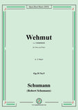 Schumann-Wehmut,Op.39 No.9