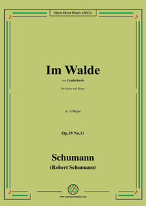 Schumann-Im Walde,Op.39 No.11