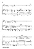 Schumann-Im Walde,Op.39 No.11