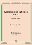 Schumann-Kommen und Scheiden,Op.90 No.3