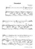 Schumann-Einsamkeit,Op.90 No.5