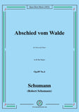 Schumann-Abschied vom Walde,Op.89 No.4