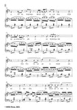 Schumann-Die Spinnerin,for Voice and Piano