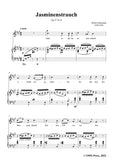 Schumann-Jasminenstrauch,Op.27 No.4