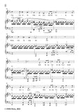 Schumann-Gesungen,Op.96 No.4