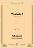 Schumann-Wanderlied,Op.35 No.3