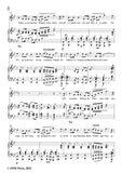 Schumann-Wanderlied,Op.35 No.3