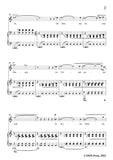 Schumann-Stille Tranen,for Voice and Piano