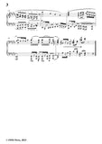 Schumann-Symphonic Etudes,Op.13,for Piano