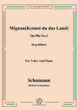 Schumann-Mignon(Kennst du das Land),Op.98a No.1