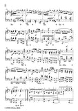 Schumann-Novelletten,Op.21 No.5