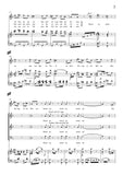 Johann Strauss II-Im Feuerstrom der Reben(No.11)