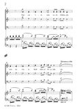 Johann Strauss II-Introducton I(No.1:Wenn vom Lido sacht wieder)