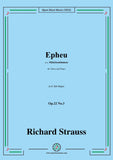 Richard Strauss-Epheu,Op.22 No.3