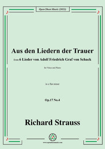 Richard Strauss-Aus den Liedern der Trauer,Op.17 No.4