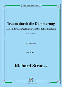 Richard Strauss-Traum durch die Dämmerung,Op.29 No.1