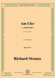 Richard Strauss-Am Ufer,Op.41 No.3